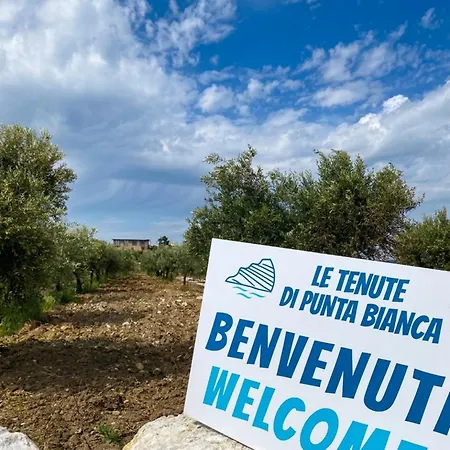 Le Tenute Di Punta Bianca Bed & Breakfast